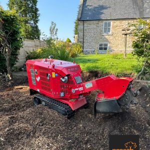 FSI D60 Pro Arb Professional Arboriculture