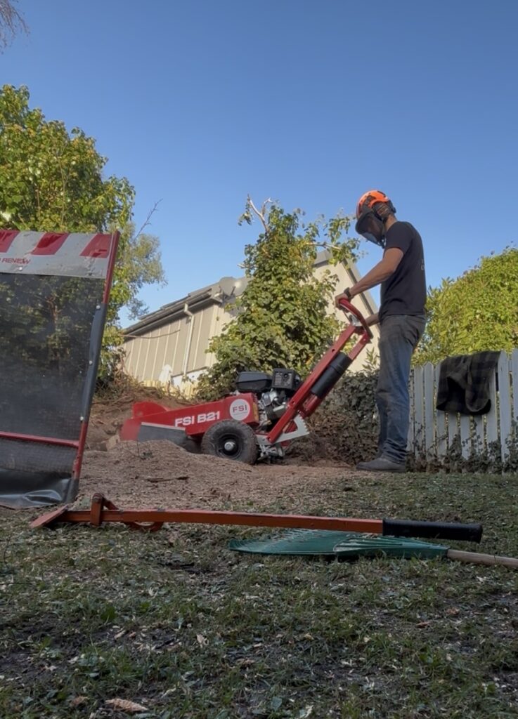 Hewitt Tree Surgery working with the FSI B21