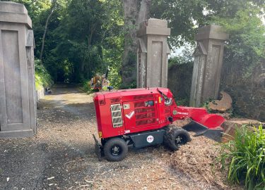 20240624_071959000_iOS 7